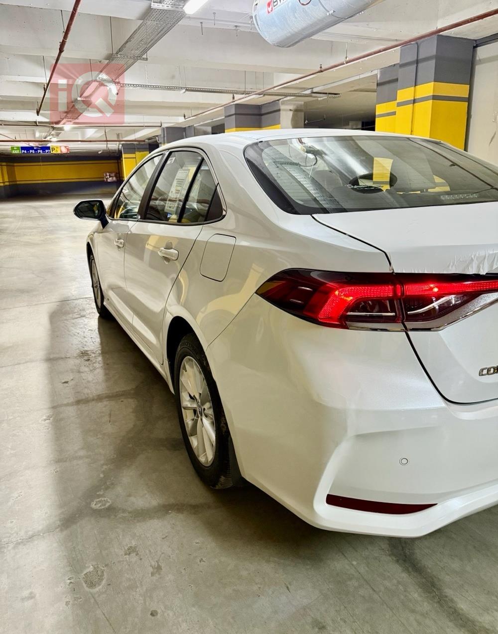 تويوتا كورولا